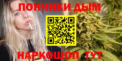 прущие грибы Новокубанск
