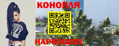 прущие грибы Новокубанск