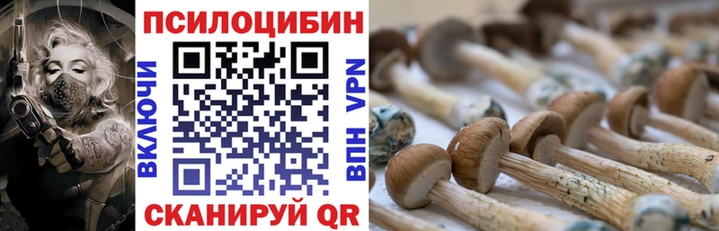 хочу наркоту  Ялуторовск  Галлюциногенные грибы Psilocybe 