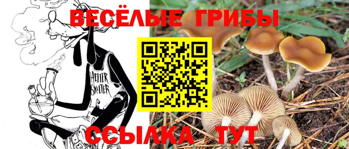 Псилоцибиновые грибы Psilocybine cubensis  Псилоцибиновые грибы мухоморы  Вход с VPN  Ялуторовск 
